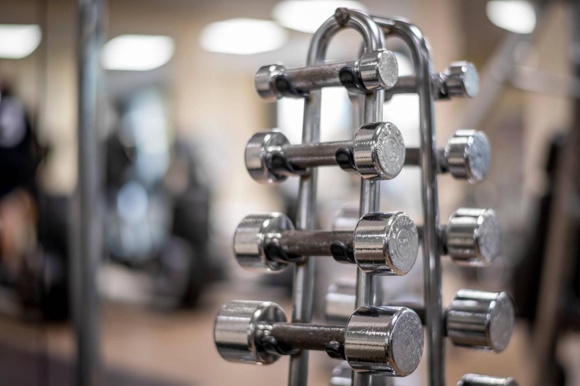 Frankfurt Marriott Hotel Frankfurt am Main Ngoại thất bức ảnh Dumbbells on a rack